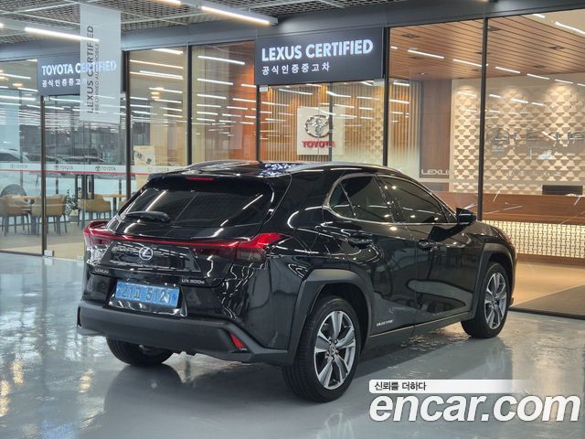 Lexus UX 2WD - фото 1