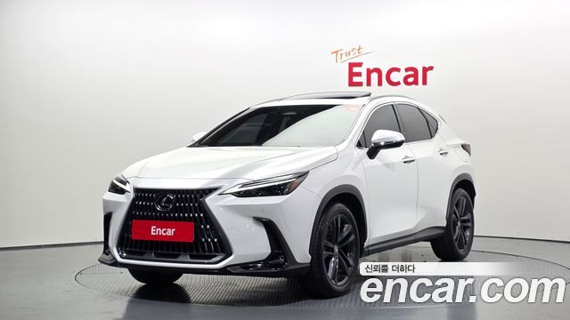 Lexus NX 2-го поколения Premium - фото 0