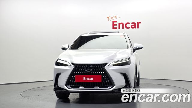 Lexus NX 2-го поколения Premium - фото 2