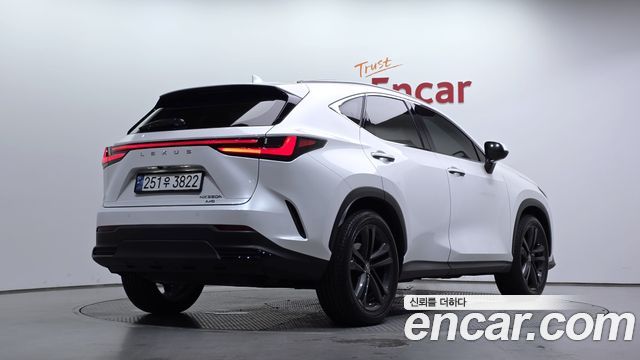 Lexus NX 2-го поколения Premium - фото 1