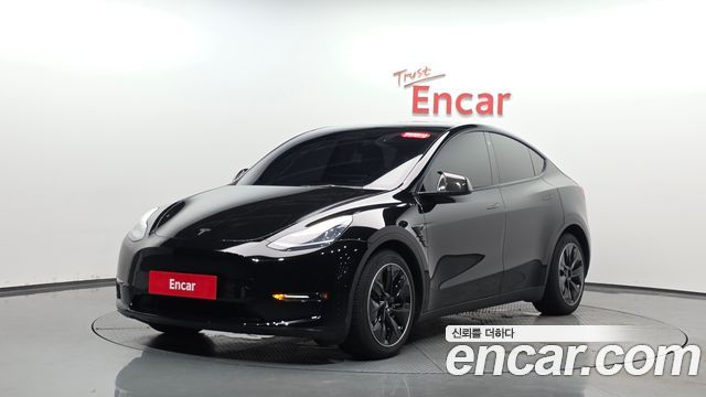 Tesla Model Y Long Range AWD - фото 0