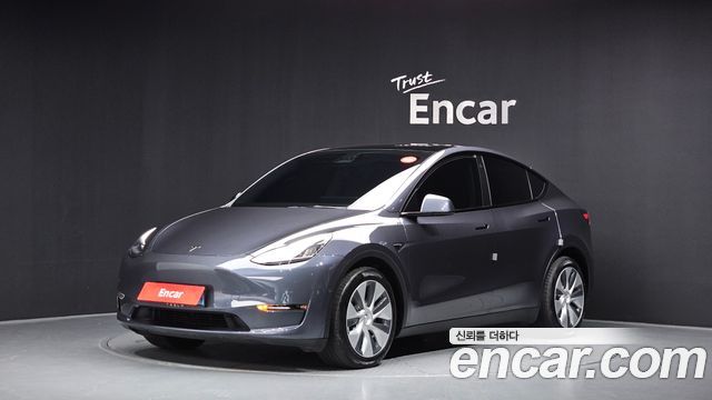 Tesla Model Y Long Range AWD - фото 0