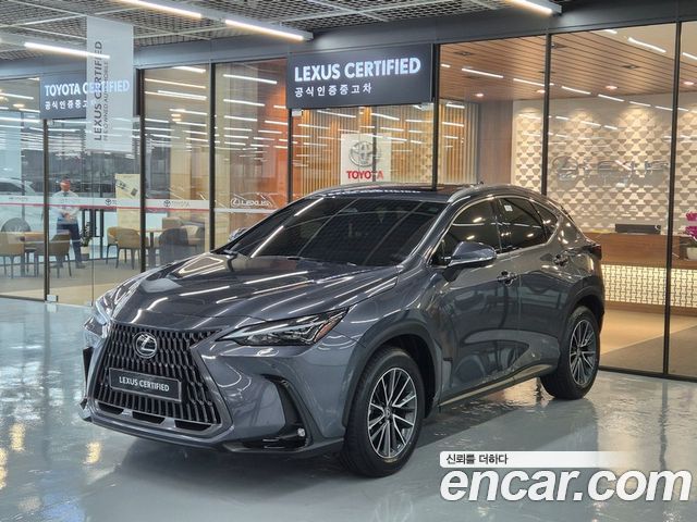 Lexus NX 2-го поколения Premium - фото 0