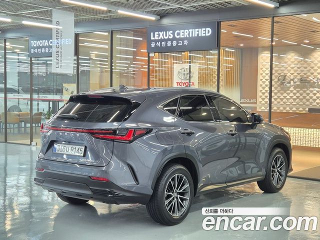 Lexus NX 2-го поколения Premium - фото 1