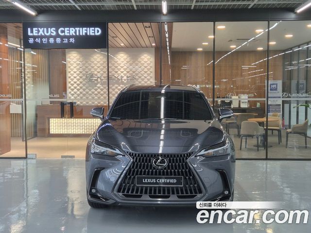 Lexus NX 2-го поколения Premium - фото 2