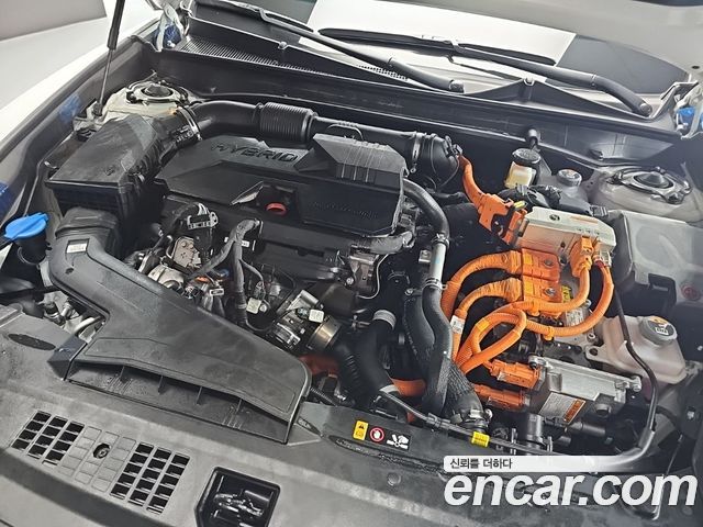 Hyundai Grandeur GN7, гибрид Exclusive - фото 4
