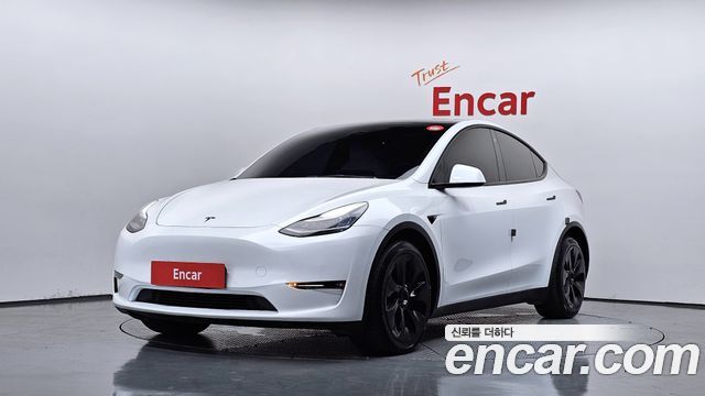 Tesla Model Y Long Range AWD - фото 0