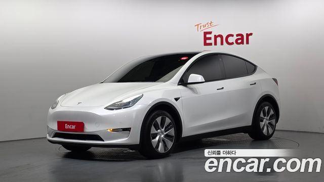 Tesla Model Y Long Range AWD - фото 0