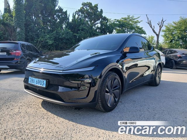 Tesla Model Y Premium RWD - фото 0