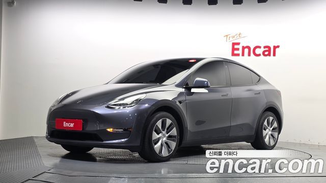 Tesla Model Y Long Range AWD - фото 0