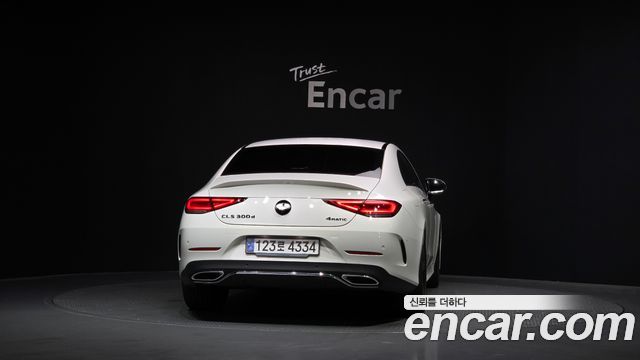 Mercedes-Benz CLS-Class C257 CLS300d 4MATIC - фото 3