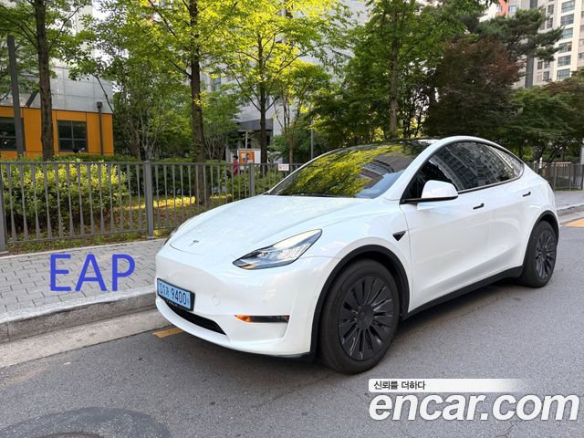 Tesla Model Y Long Range AWD - фото 0