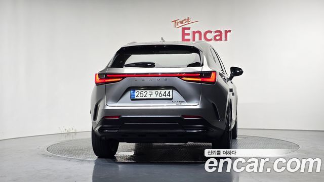 Lexus NX 2-го поколения Premium - фото 3