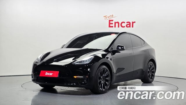 Tesla Model Y Long Range AWD - фото 0