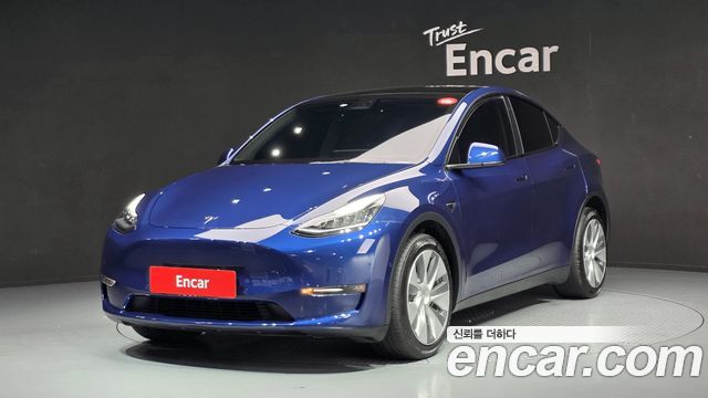 Tesla Model Y Long Range AWD - фото 0
