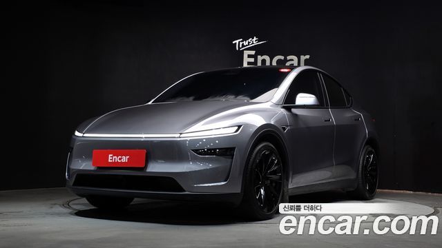 Tesla Model Y Long Range Launch Edition AWD - фото 0