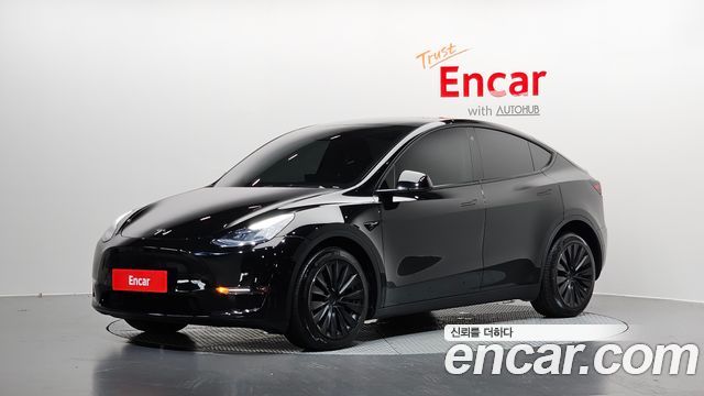 Tesla Model Y Long Range AWD - фото 0
