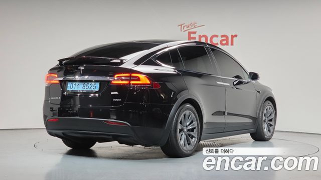 Tesla Model X 100D - фото 0