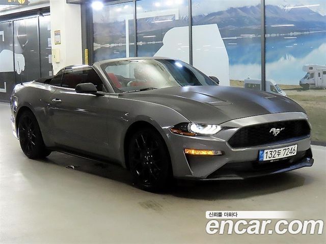 Ford Mustang Convertible - фото 0