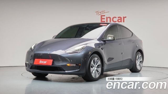 Tesla Model Y Long Range AWD - фото 0
