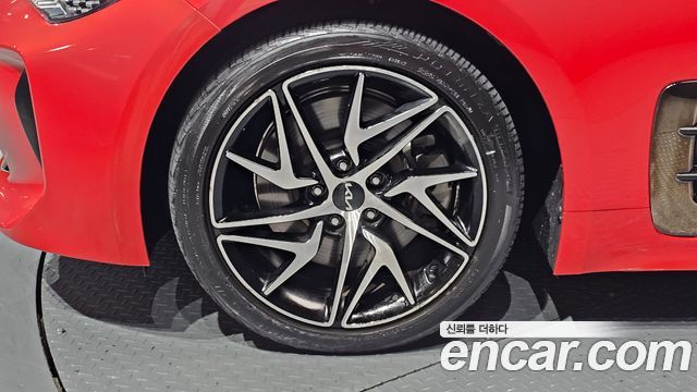 Kia Stinger Meister 2.5 Platinum - фото 4