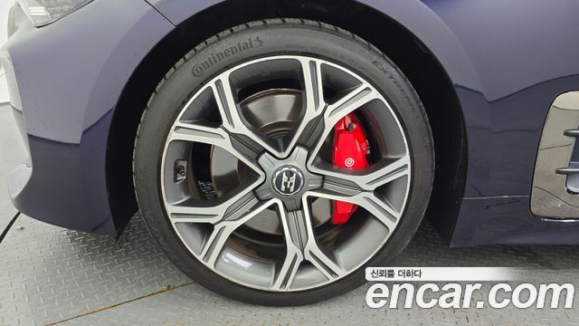 Kia Stinger 2.0 Turbo 2WD Platinum - фото 4