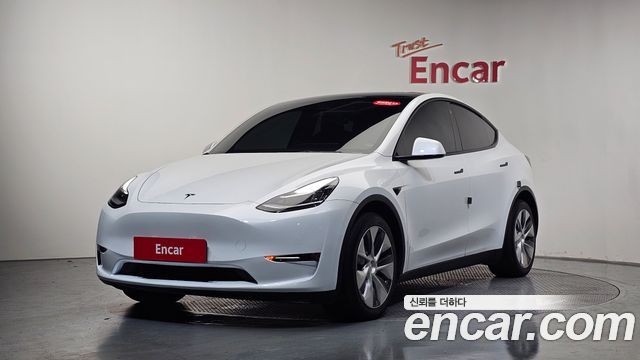 Tesla Model Y Long Range AWD - фото 0