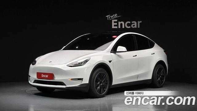 Tesla Model Y Standard Range RWD - фото 0
