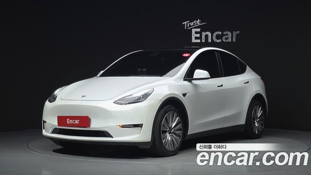 Tesla Model Y Long Range AWD - фото 0