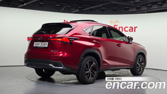 Lexus NX 300h Executive - фото 1