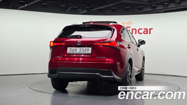 Lexus NX 300h Executive - фото 3