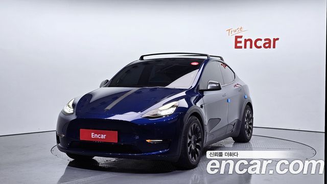 Tesla Model Y Long Range AWD - фото 0