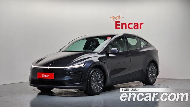 Tesla Model Y L Long Range AWD - фото 0