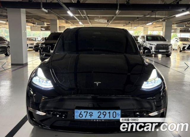 Tesla Model Y Long Range AWD - фото 0