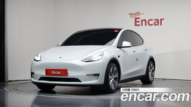 Tesla Model Y Long Range AWD - фото 0