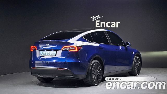 Tesla Model Y Long Range AWD - фото 0