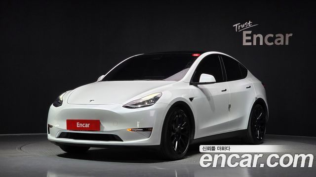 Tesla Model Y Long Range AWD - фото 0