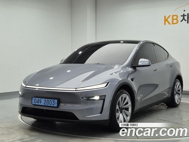 Tesla Model Y Long Range AWD - фото 0