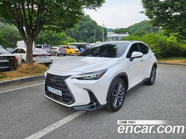 Lexus NX 2-го поколения Luxury - фото 0