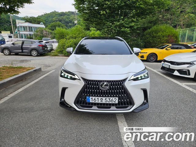 Lexus NX 2-го поколения Luxury - фото 1