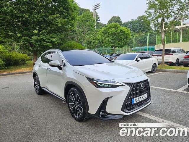 Lexus NX 2-го поколения Luxury - фото 3