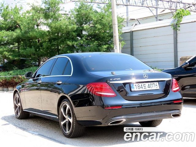 Mercedes-Benz E-Class W213 E250 Avantgarde - фото 2