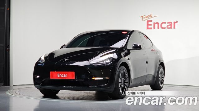 Tesla Model Y Long Range AWD - фото 0