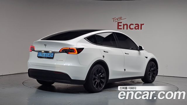 Tesla Model Y Long Range AWD - фото 0