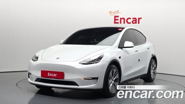 Tesla Model Y Long Range AWD - фото 0
