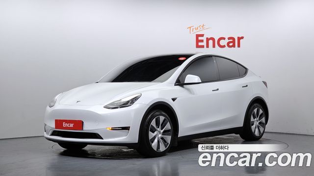 Tesla Model Y Long Range AWD - фото 0