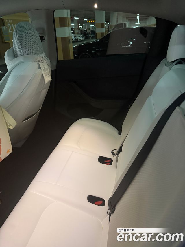 Tesla Model Y RWD - фото 1