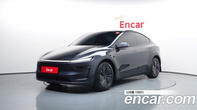 Tesla Model Y Long Range AWD - фото 0