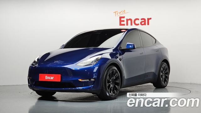 Tesla Model Y Long Range AWD - фото 0
