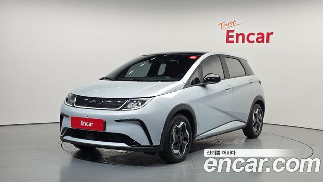 BYD Dolphin Base - фото 0